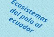 ECOSISTEMAS DEL POLO AL ECUADOR- dario y karen