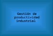 Gestión de productividad industrial