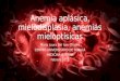 Anemia aplásica, mielodisplasia, anemias mieloptísicas