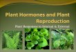 Plant hormones and plant reproduction