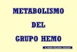 Metabolismo Del Grupo Hemo (Diapositivas)