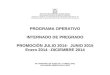 Prog.operativo Mips 2014-2015 - Ene-dic-2014 Completo