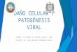 Daño Celular y Patogénesis Viral