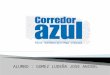 Corredor Azul de Lima metropolitana -  curso ingeniería de transportes