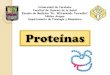 Proteinas Bioquimica y fisiologia Aminoacidos
