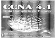 CCNA 4.1 - Guia Completo