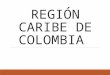 Región Caribe de Colombia 905