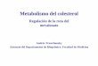 Metabolismo Del Colesterol 2004 (1)