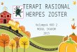 Terapi Rasional Herpes Zoster Kelompok 2
