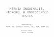 Hernia Inguinalis, Hidrokel & Undescended Testis