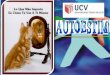 Programa de tutorias UCV: Sesion 1 Autoestima