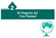 Introducción y Negocio Del Gas Natural