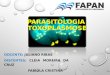 Toxoplasmose FAPAN MODIFICADO,,,,,,,,,,,