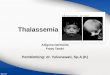 PPT Case Thalassemia
