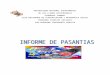 Informe de Pasantias-YELI 2013