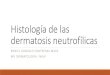 Histología de Las Dermatosis Neutrofílicas
