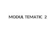 MODUL TEMATIC 2.doc