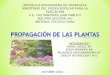 Propagacion de Plantas Diapositivas