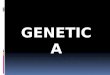 Genetica fundamentos bioneurologicos del aprendizaje