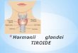 hormonii tiroidieni