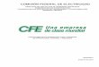 Caracteristicas Generales CFE V6700-62 Rev 6 AGO2010