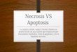 Necrosis vs Apoptosis