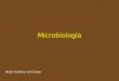 Microbiologia Primer Presentacion Febrero