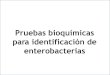 (524944617) Pruebas Bioquimicas de Identificacion de Enterobacterias11.pdf