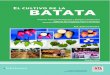El Cultivo de BATATA