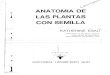 Anatomia de Las Plantas Con Semilla