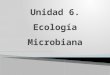 UNIDAD 6. ECOLOGIA MICROBIANA.pptx