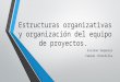 Estructuras Organizativas y Organización Del Equipo de Proyectos