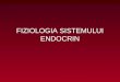 2. Fiziologia Sistemului Endocrin