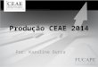 Produção CEAE 2014