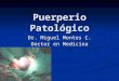 10 Puerperiopatolgico 100727222846 Phpapp02