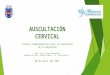 Presentacion Auscultacion Cervical