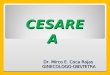 Cesarea Dr Coca 2014