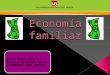 Economía Familiar, Ingreso y Gastos