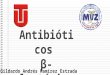 Antibioticos betalactámicos (veterinaria)