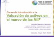 Curso avaluos bajo NIIF Lonja Norte Santander - G Noguera.pdf