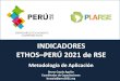 Aplicación Indicadores Ethos - Perú 2021 - Bruno Carpio