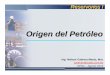 UPSA_RESI102_Origen Del Petroleo y Ubicacion de Pozos