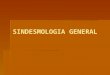 Sindesmologia General