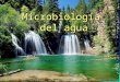 Clase 2 - Microbiologia del AGUA.ppt