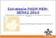 2013.04.13. ESTRATEGIA PAEM SENA2 MEN 2013-2014