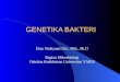 Genetika Bakteri (Revised)