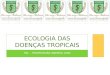 Ecologia Das Doenças Tropicais