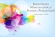 Mekanisme Biosintesis Protein Prokariota