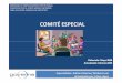 COMITE ESPECIAL.pdf