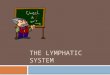 L6 THE LYMPHATIC SYSTEM Blok BMS.pptx